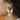 25FW160 - Gamme EVE. Boucles d’oreilles en laiton doré à l'or fin, collection Good Vibes, ornées de pierres naturelles, idéales pour un look solaire et élégant.