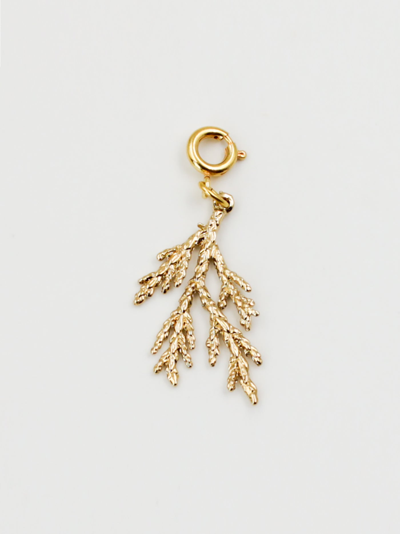 Charm branche corail doré avec fermoir de la gamme GRIGRI - L'Atelier des Dames